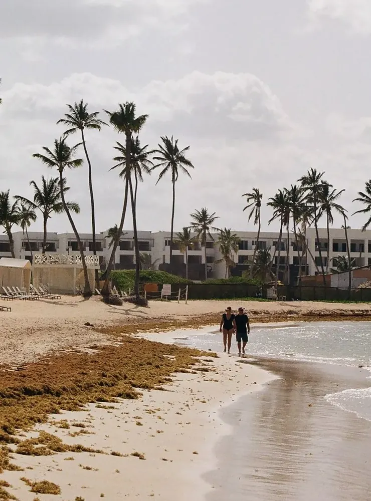 Two people walking along a pale beach lined with palm trees